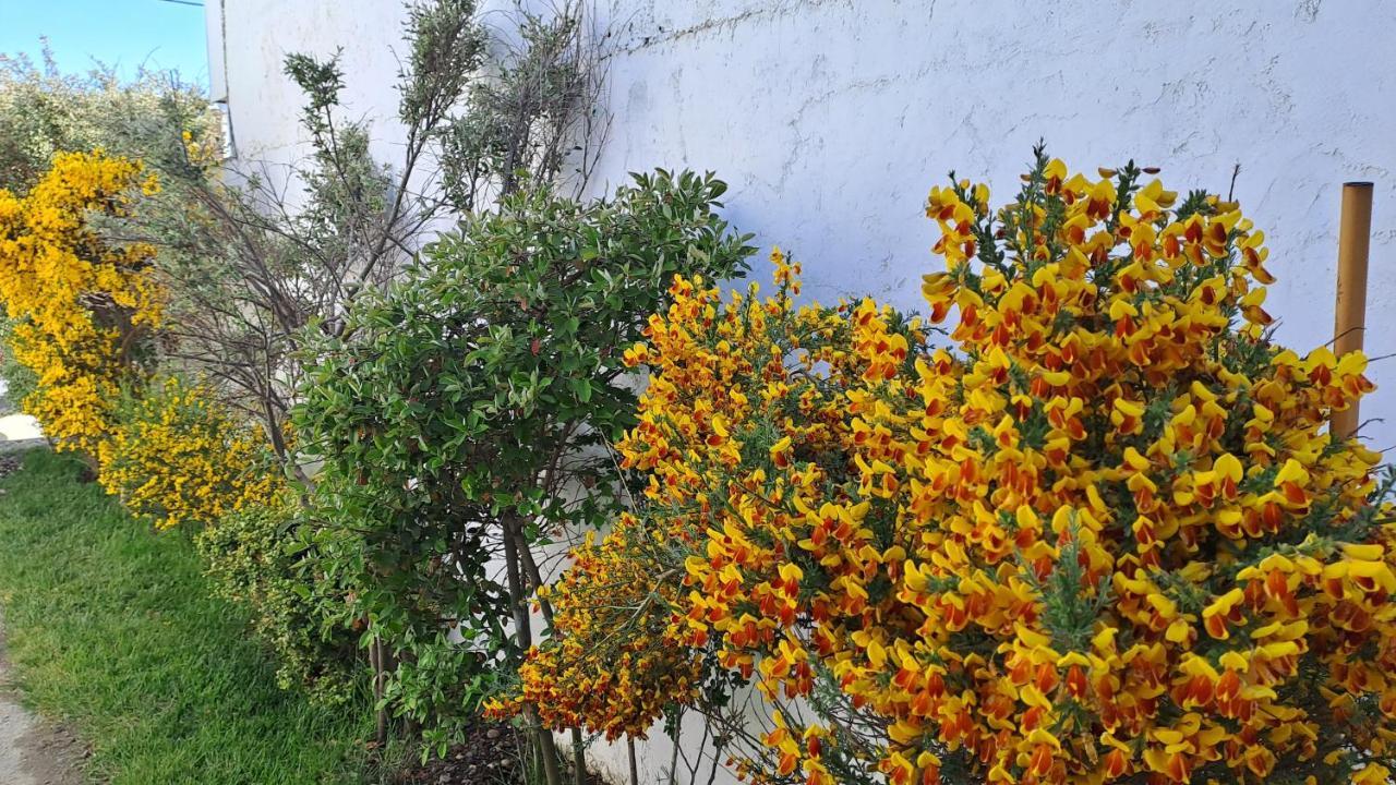La Casa De Las Retamas Río Grande Exterior foto